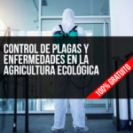 Control de Plagas y Enfermedades en Agricultura Ecológica